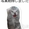 新潟風俗エステ GRACE　新潟(グレース　ニイガタ) 里見(30)の4月3日写メブログ「地味な【報告 】」