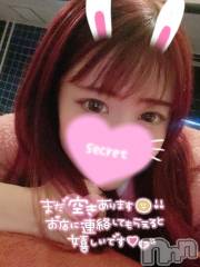 新潟ソープ新潟バニーコレクション(ニイガタバニーコレクション) ココロ(23)の5月15日写メブログ「次回21:20ごろ❣」