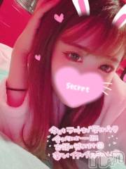 新潟ソープ新潟バニーコレクション(ニイガタバニーコレクション) ココロ(23)の10月14日写メブログ「出勤⭐⭐」