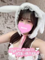 新潟ソープ新潟バニーコレクション(ニイガタバニーコレクション) ココロ(23)の12月14日写メブログ「17時から‼️」