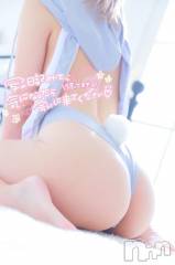 新潟ソープ新潟バニーコレクション(ニイガタバニーコレクション) ココロ(23)の1月17日写メブログ「残り2枠‼️」