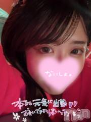 新潟ソープ新潟バニーコレクション(ニイガタバニーコレクション) ココロ(23)の2月12日写メブログ「出勤してます‼️」