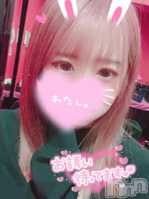 新潟ソープ 新潟バニーコレクション(ニイガタバニーコレクション) ココロ(23)の1月15日写メブログ「申し訳ない😭🙏🏻」