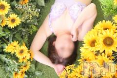 新潟デリヘルSOARIS-ソアリス-(ソアリス) のあ(34)の8月17日写メブログ「お礼日記💌💭⸒⸒ T様♡」