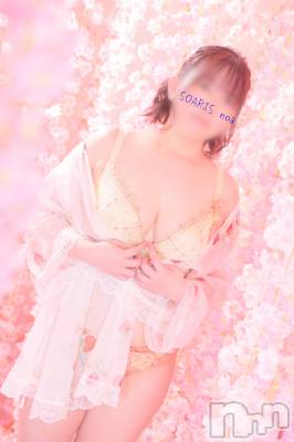 新潟風俗エステ SOARIS-ソアリス-(ソアリス) のあ(34)の3月30日写メブログ「年度末最後の」