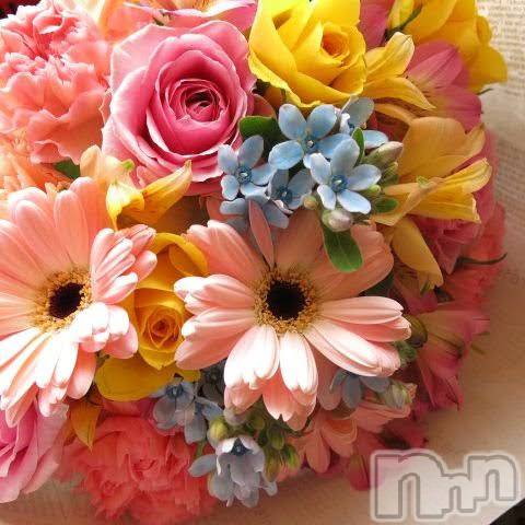 ��ˬ����Х��顦����֥���� �ץ���� ��ˬ(����� �ץ���� ����) ���� ��ʤ�5��22���̥�֥�����🌸��