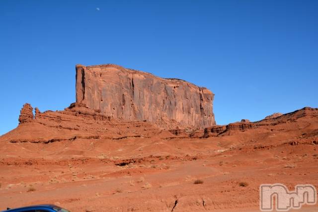 ��ˬ����Х��顦����֥���� �ץ���� ��ˬ(����� �ץ���� ����) ���� ��ʤ�6��7���̥�֥�����🐪��