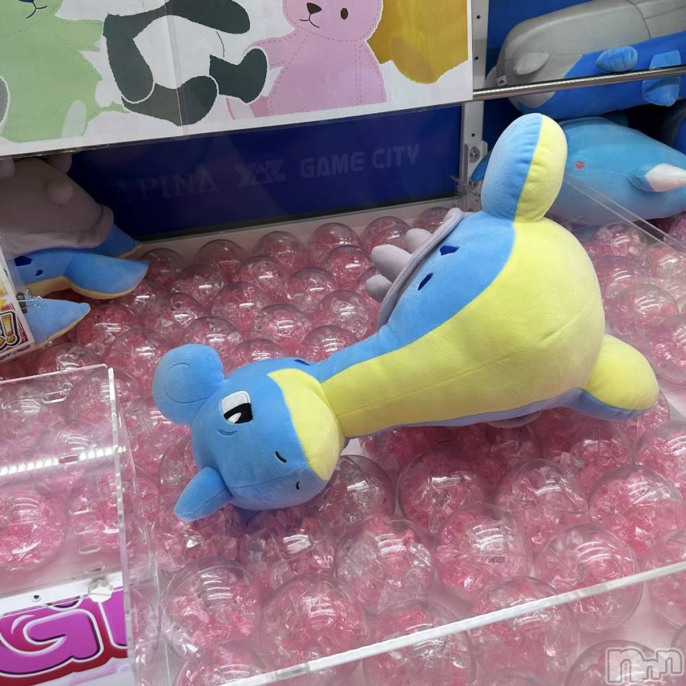 ��ˬ����Х��顦����֥���� �ץ���� ��ˬ(����� �ץ���� ����) ���� ��ʤ�8��12���̥�֥�����🦕��