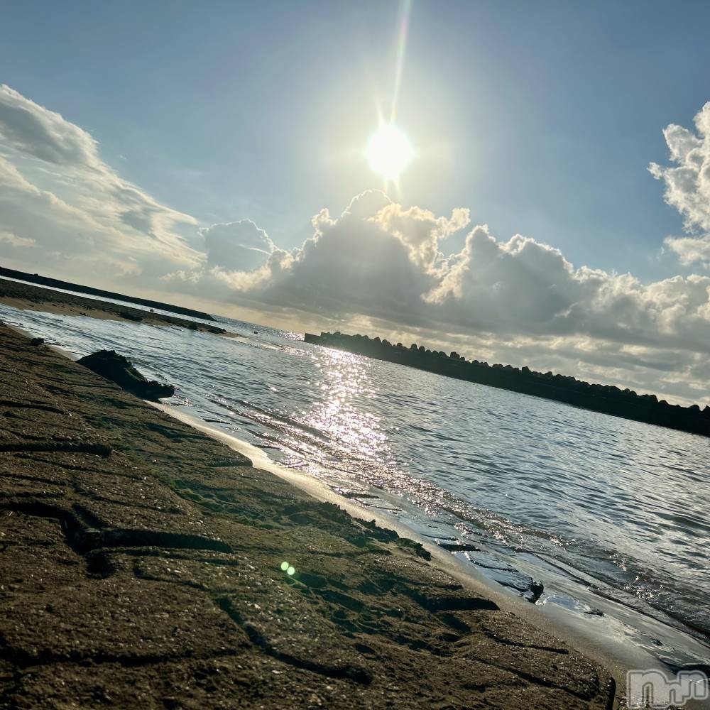 ��ˬ����Х��顦����֥���� �ץ���� ��ˬ(����� �ץ���� ����) ���� ��ʤ�8��18���̥�֥�����🌅��