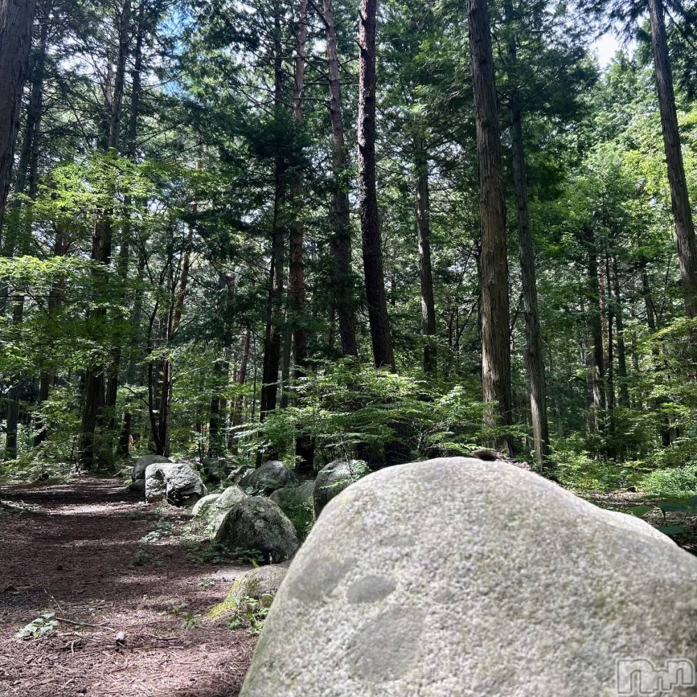 ��ˬ����Х��顦����֥���� �ץ���� ��ˬ(����� �ץ���� ����) ���� ��ʤ�8��22���̥�֥�����🌳��