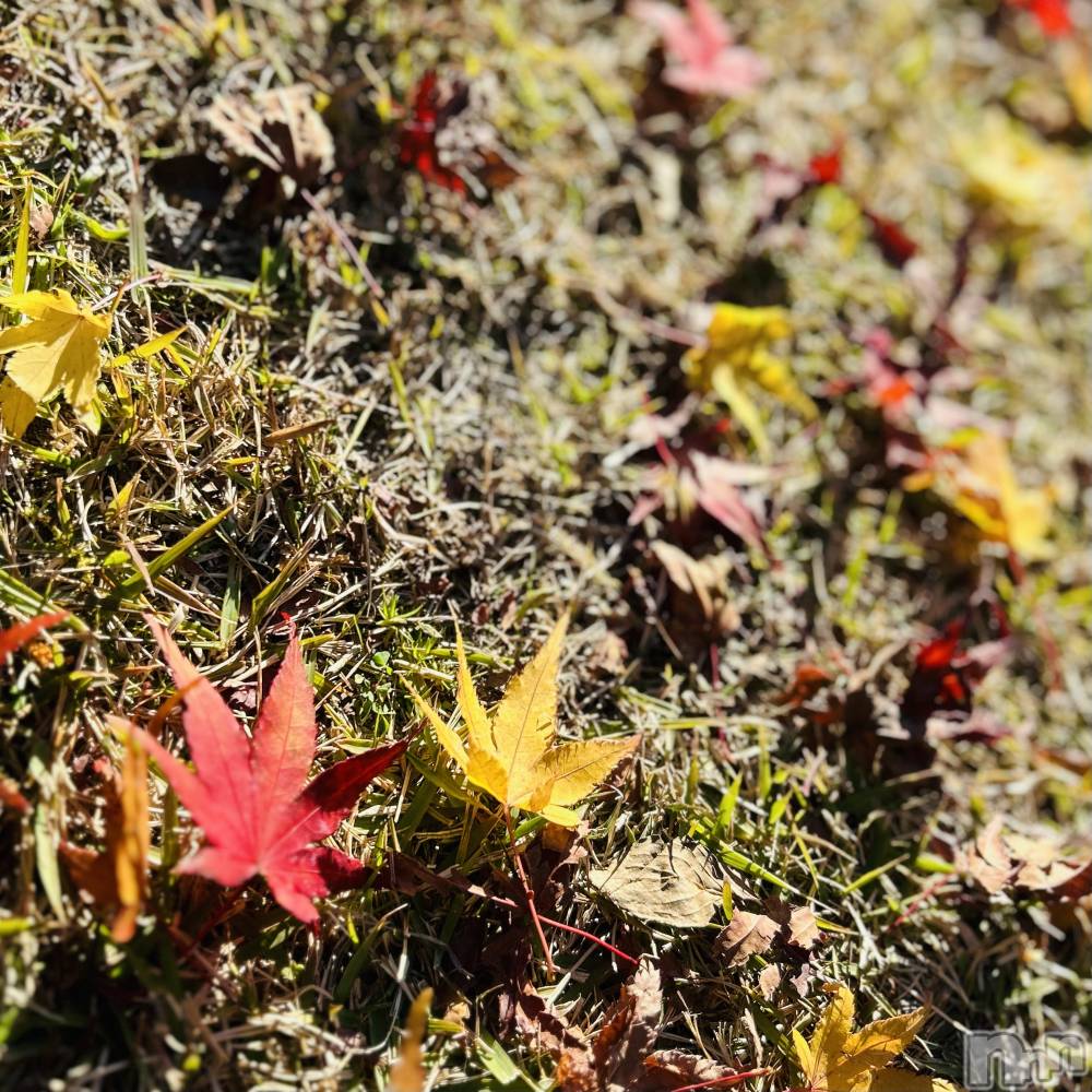 ��ˬ����Х��顦����֥���� �ץ���� ��ˬ(����� �ץ���� ����) ���� ��ʤ�11��30���̥�֥�����🍁��