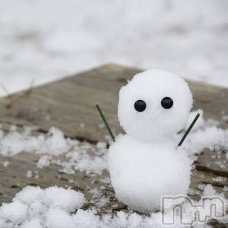 ��ˬ����Х��顦����֥���� �ץ���� ��ˬ(����� �ץ���� ����) ���� ��ʤ�1��3���̥�֥�����🎍��