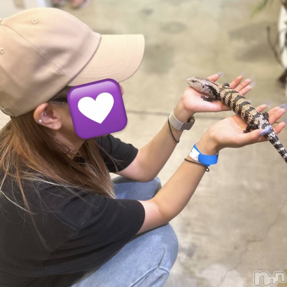 ��ˬ����Х��顦����֥���� �ץ���� ��ˬ(����� �ץ���� ����) ���� ��ʤ�8��26���̥�֥�����🦎��