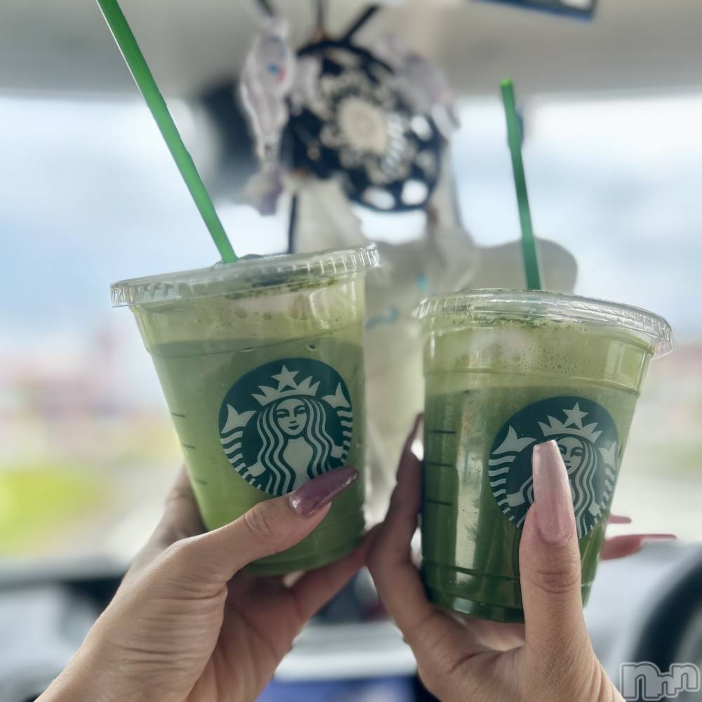 ��ˬ����Х��顦����֥���� �ץ���� ��ˬ(����� �ץ���� ����) ���� ��ʤ�9��5���̥�֥�����🍵��