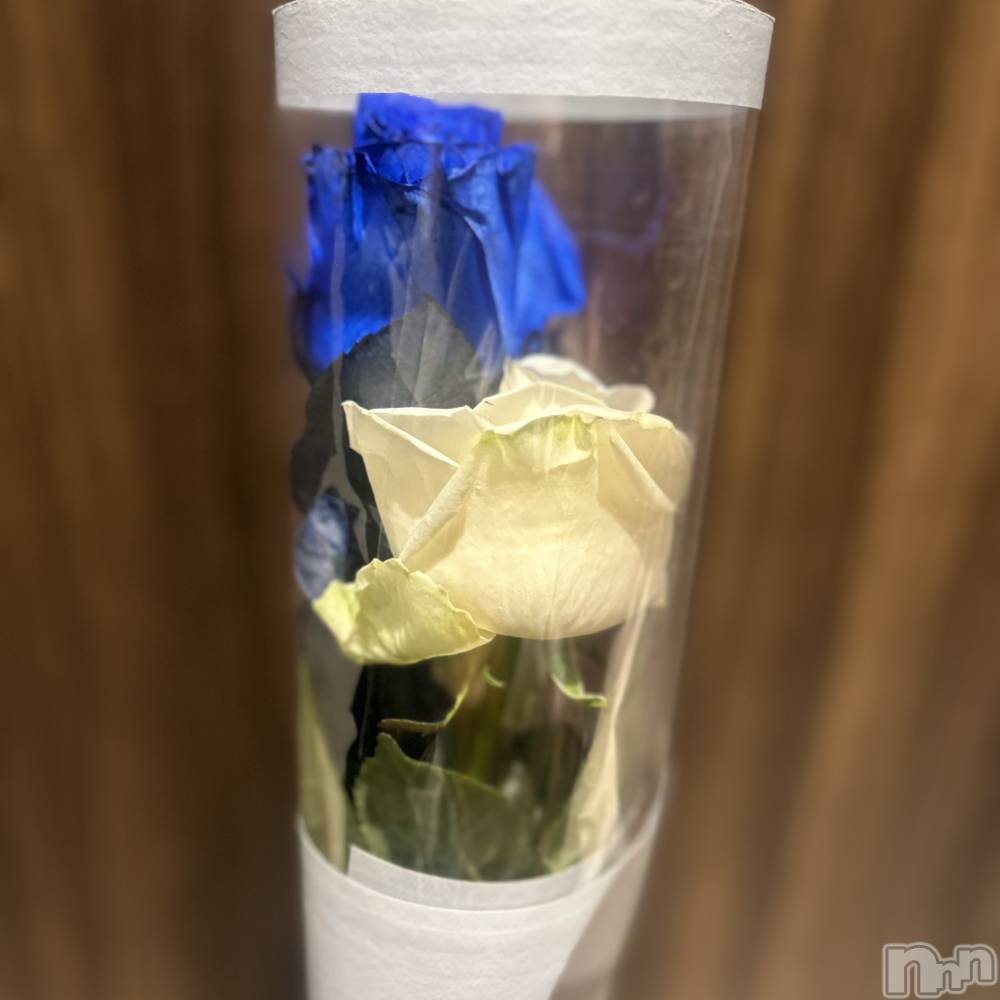 ��ˬ����Х��顦����֥���� �ץ���� ��ˬ(����� �ץ���� ����) ���� ��ʤ�12��23���̥�֥�����🌹��