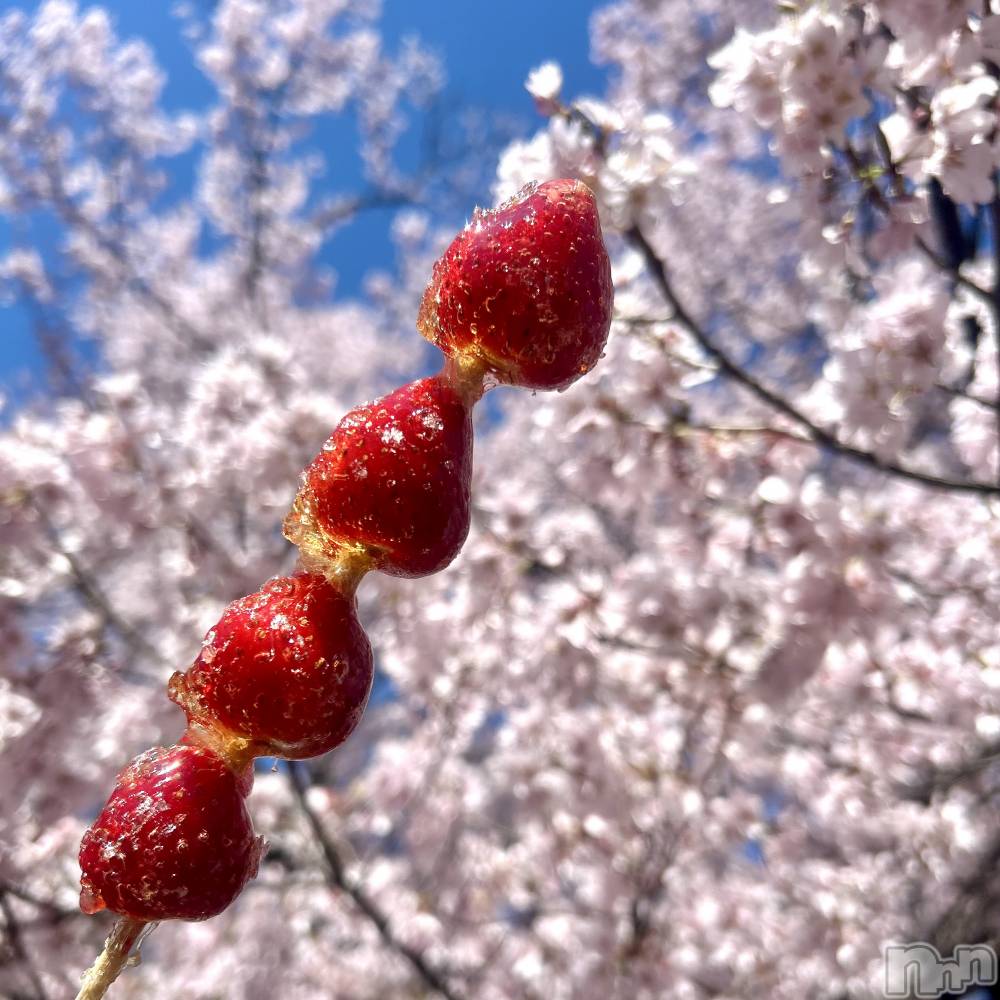 ��ˬ����Х��顦����֥���� �ץ���� ��ˬ(����� �ץ���� ����) ���� ��ʤ�4��11���̥�֥�����🍓��