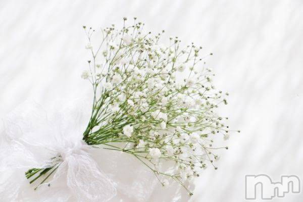 ��ˬ����Х��顦����֥���� �ץ���� ��ˬ(����� �ץ���� ����) ��2024ǯ5��11���̥�֥����֤Ϥ���ޤ��ơ�