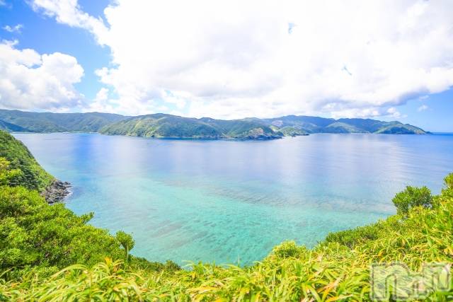 ��ˬ����Х��顦����֥���� �ץ���� ��ˬ(����� �ץ���� ����) ��2024ǯ6��5���̥�֥�����🏝️��