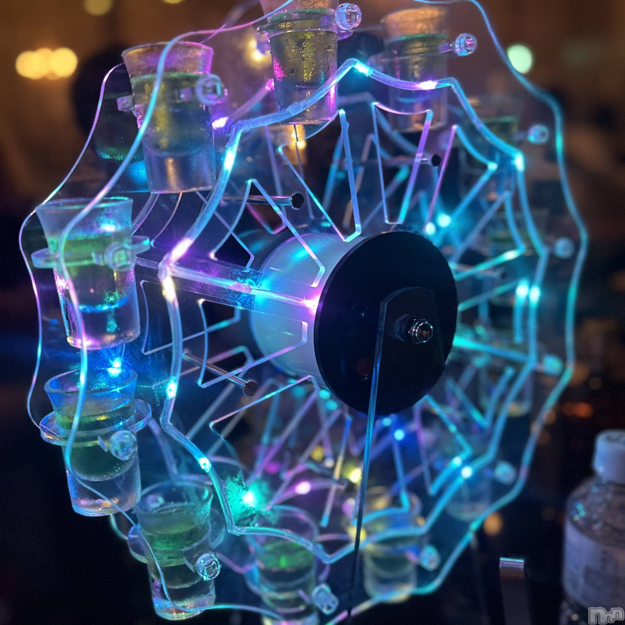 ��ˬ����Х��顦����֥���� �ץ���� ��ˬ(����� �ץ���� ����) ��2024ǯ7��8���̥�֥�����🎡��