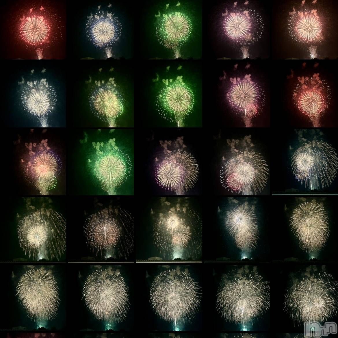 ��ˬ����Х��顦����֥���� �ץ���� ��ˬ(����� �ץ���� ����) ��2024ǯ8��5���̥�֥�����🎆��