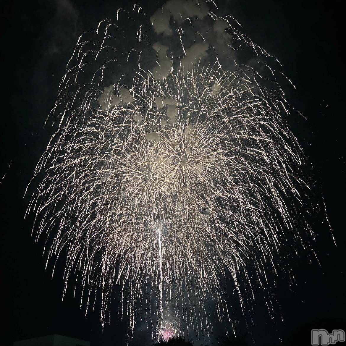 ��ˬ����Х��顦����֥���� �ץ���� ��ˬ(����� �ץ���� ����) ��2024ǯ8��14���̥�֥�����🎇��