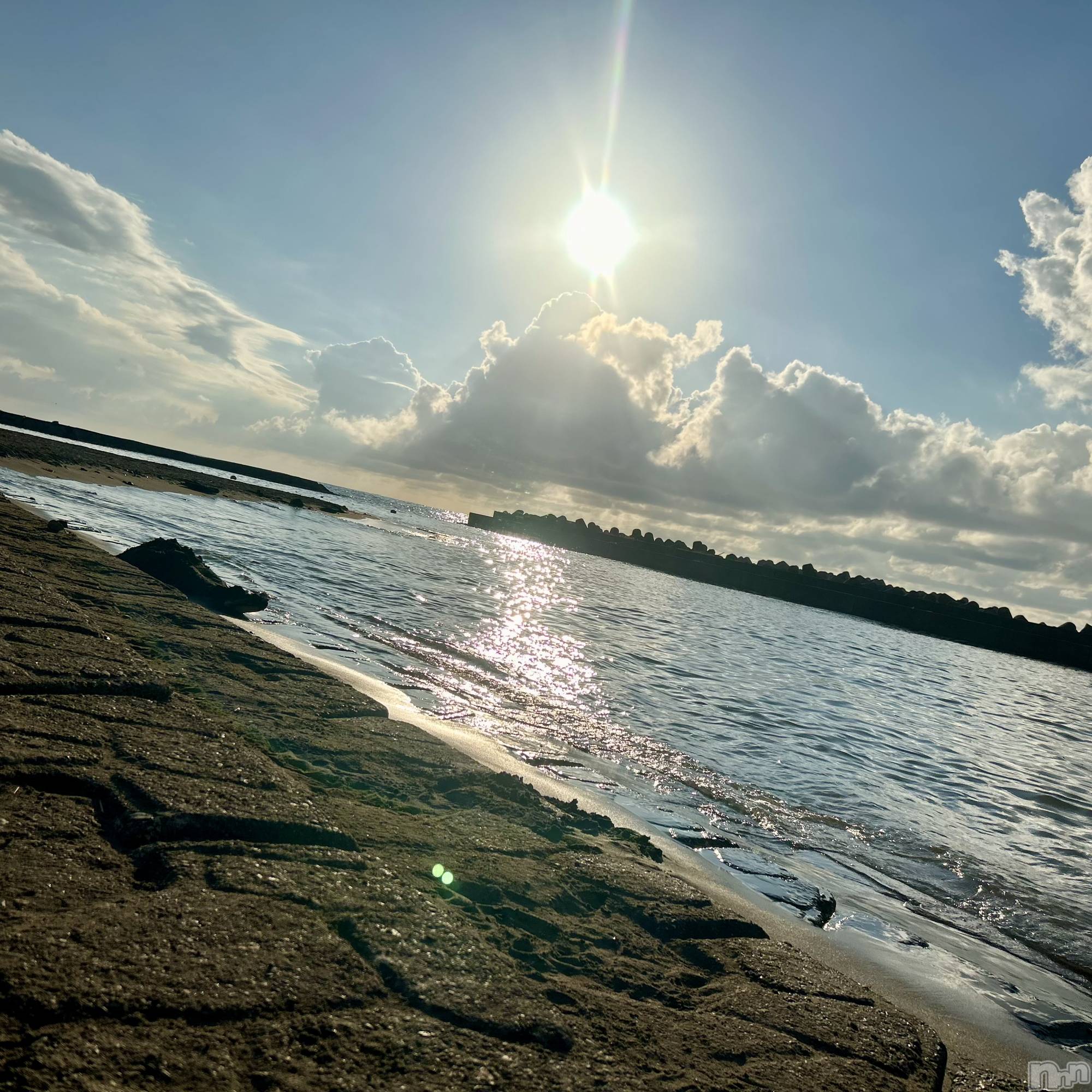 ��ˬ����Х��顦����֥���� �ץ���� ��ˬ(����� �ץ���� ����) ��2024ǯ8��18���̥�֥�����🌅��