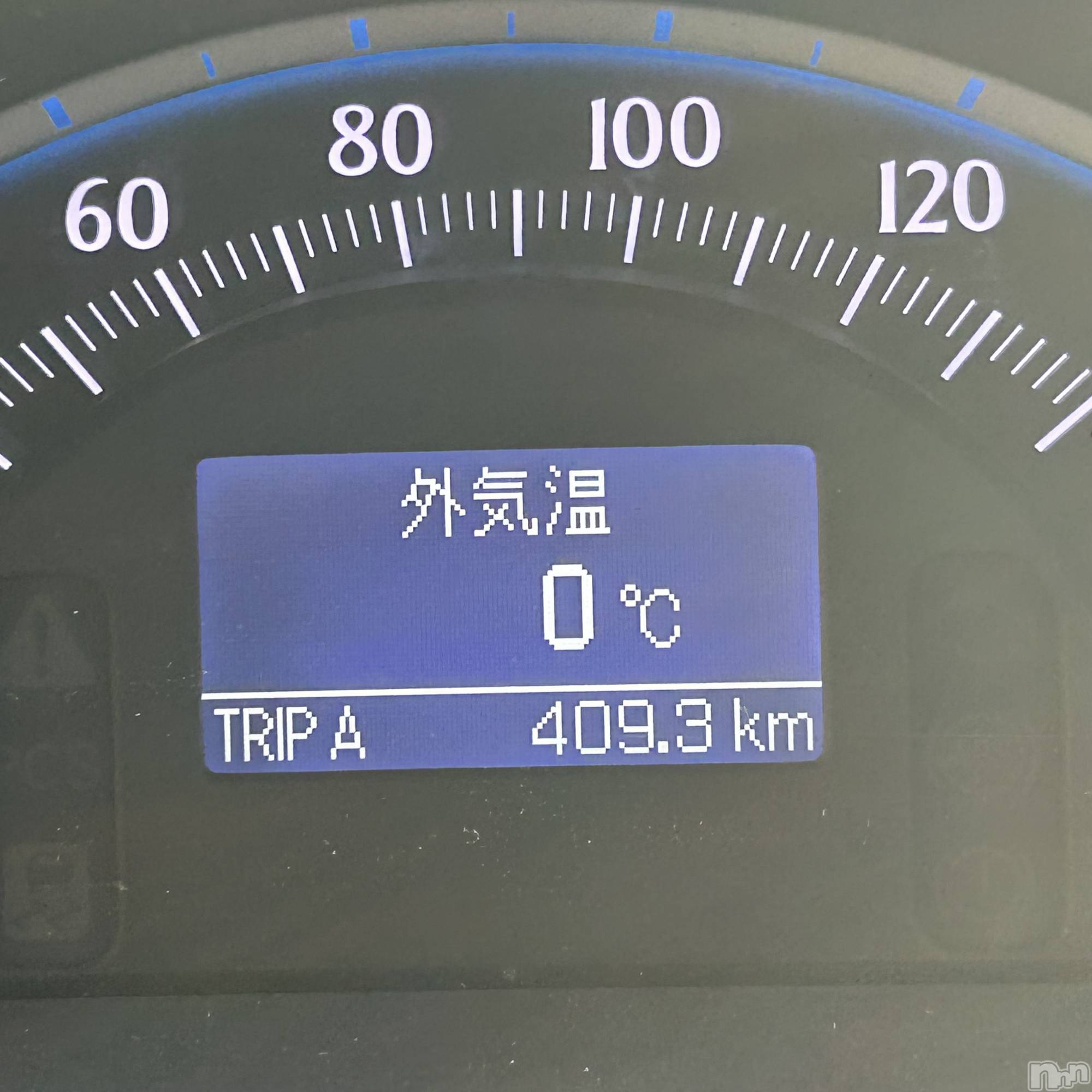 ��ˬ����Х��顦����֥���� �ץ���� ��ˬ(����� �ץ���� ����) ��2024ǯ12��3���̥�֥�����❄️��