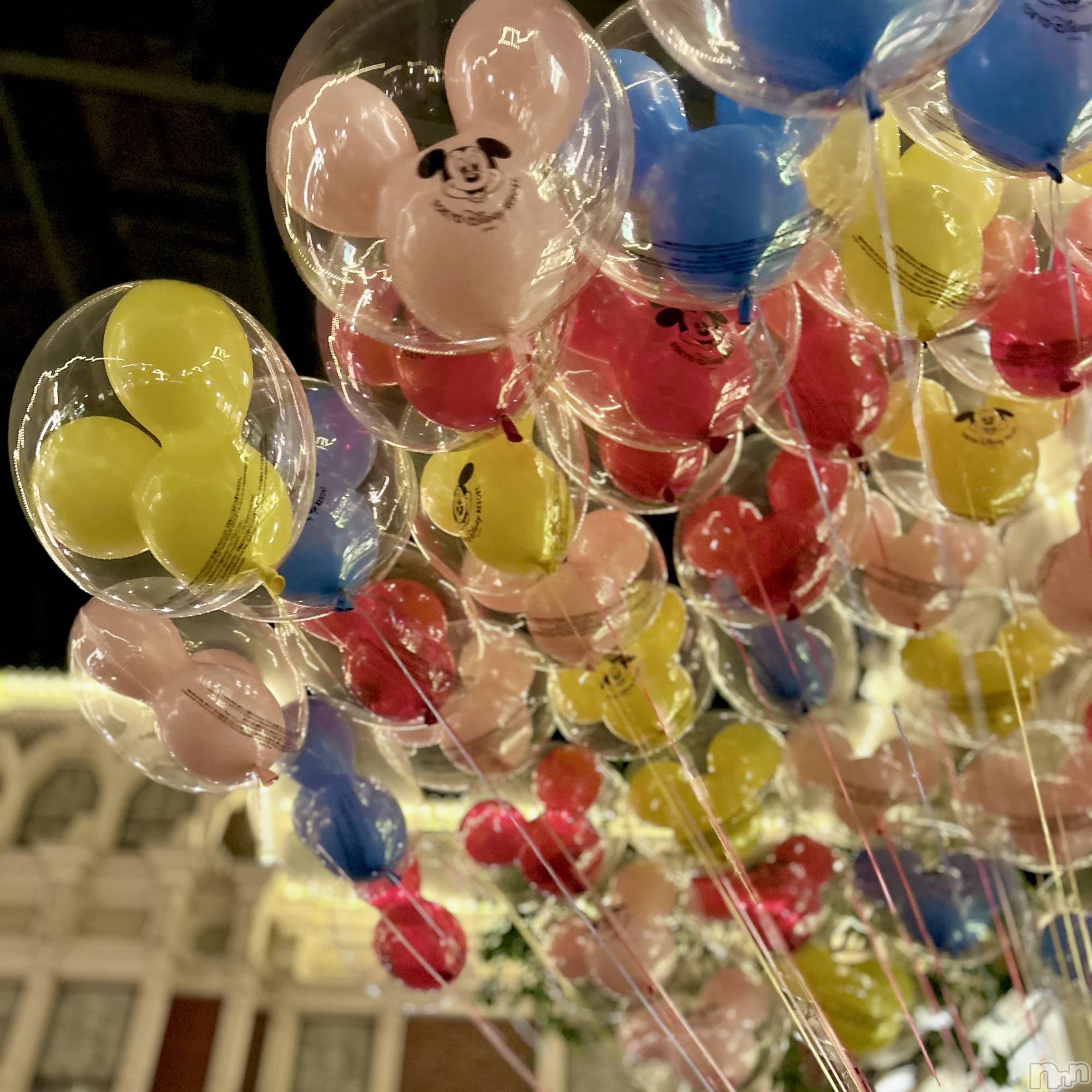 ��ˬ����Х��顦����֥���� �ץ���� ��ˬ(����� �ץ���� ����) ��2024ǯ12��17���̥�֥�����🎈��