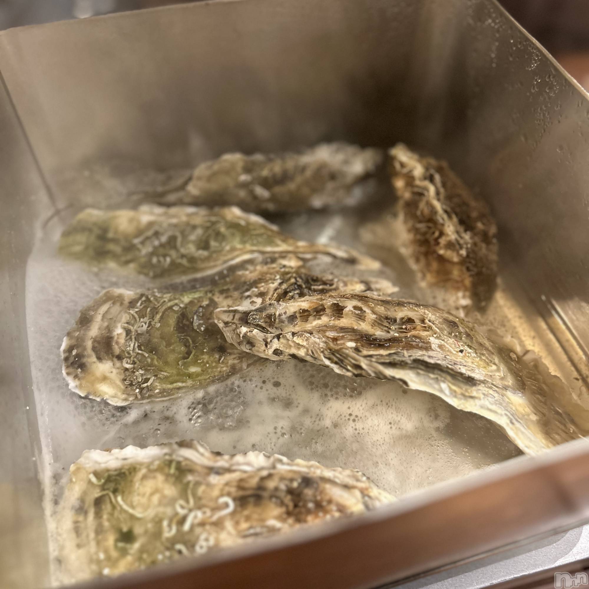 ��ˬ����Х��顦����֥���� �ץ���� ��ˬ(����� �ץ���� ����) ��2025ǯ3��1���̥�֥�����🦪��