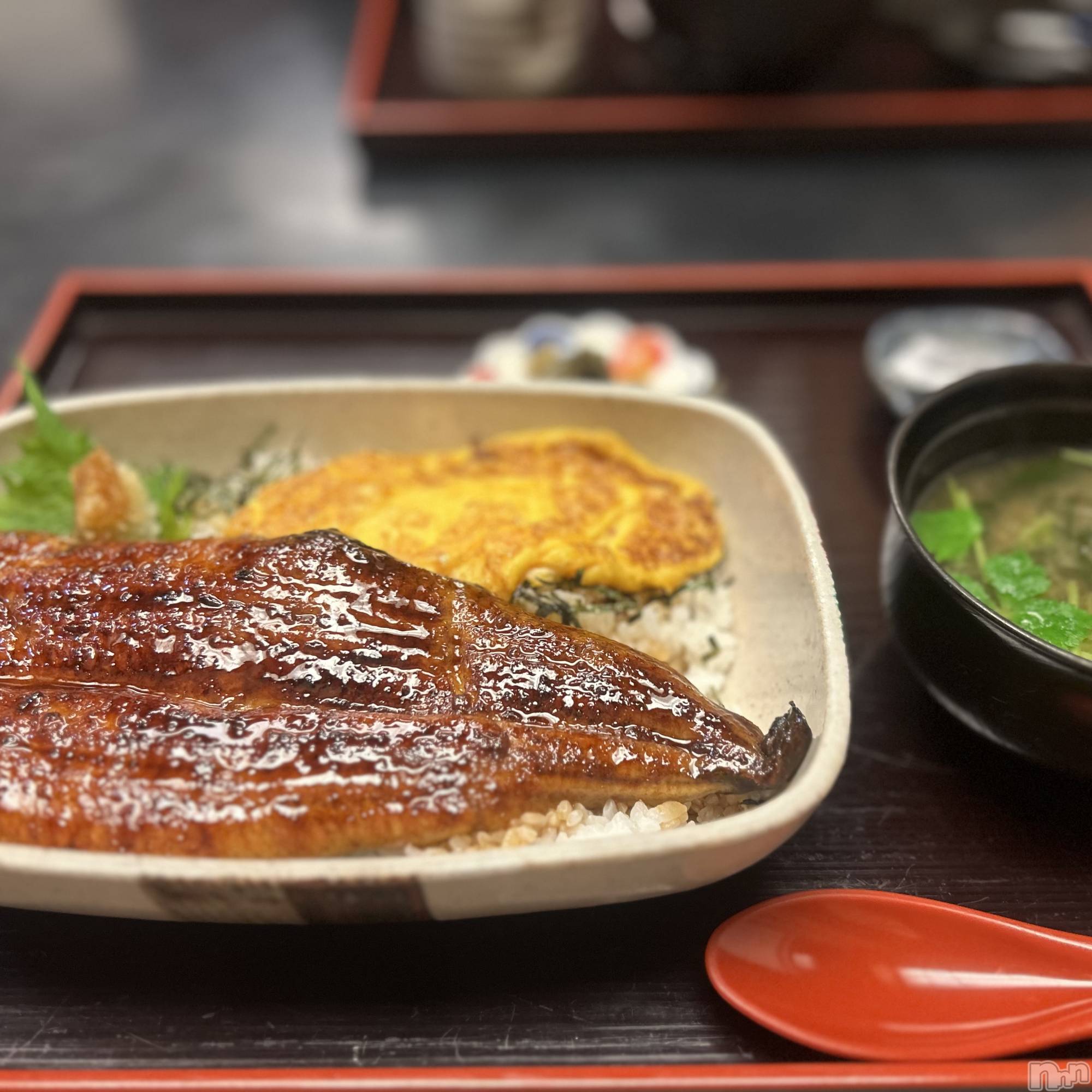 ��ˬ����Х��顦����֥���� �ץ���� ��ˬ(����� �ץ���� ����) ��2025ǯ2��26���̥�֥�����🥢��