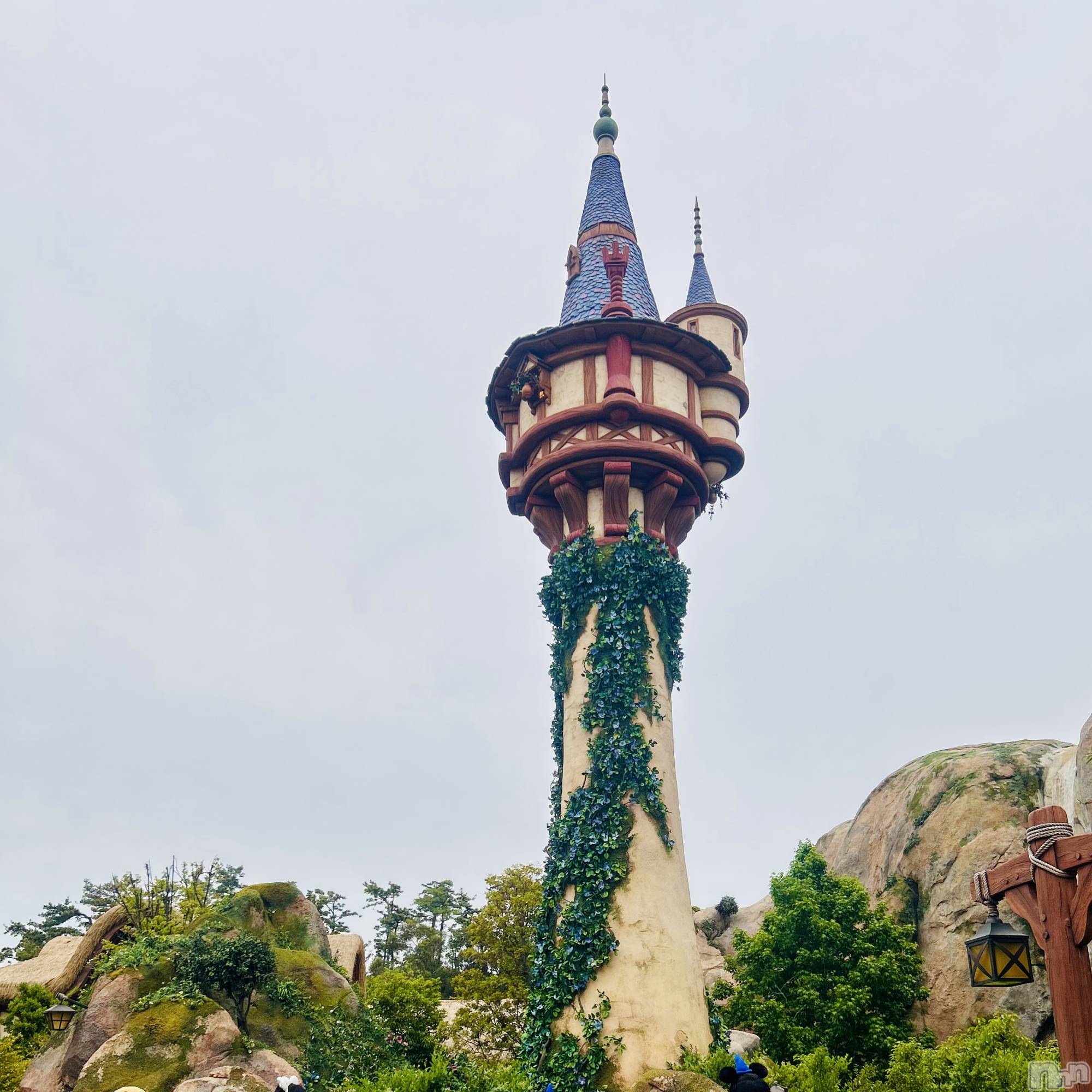 ��ˬ����Х��顦����֥���� �ץ���� ��ˬ(����� �ץ���� ����) ��2025ǯ6��3���̥�֥�����🌸��