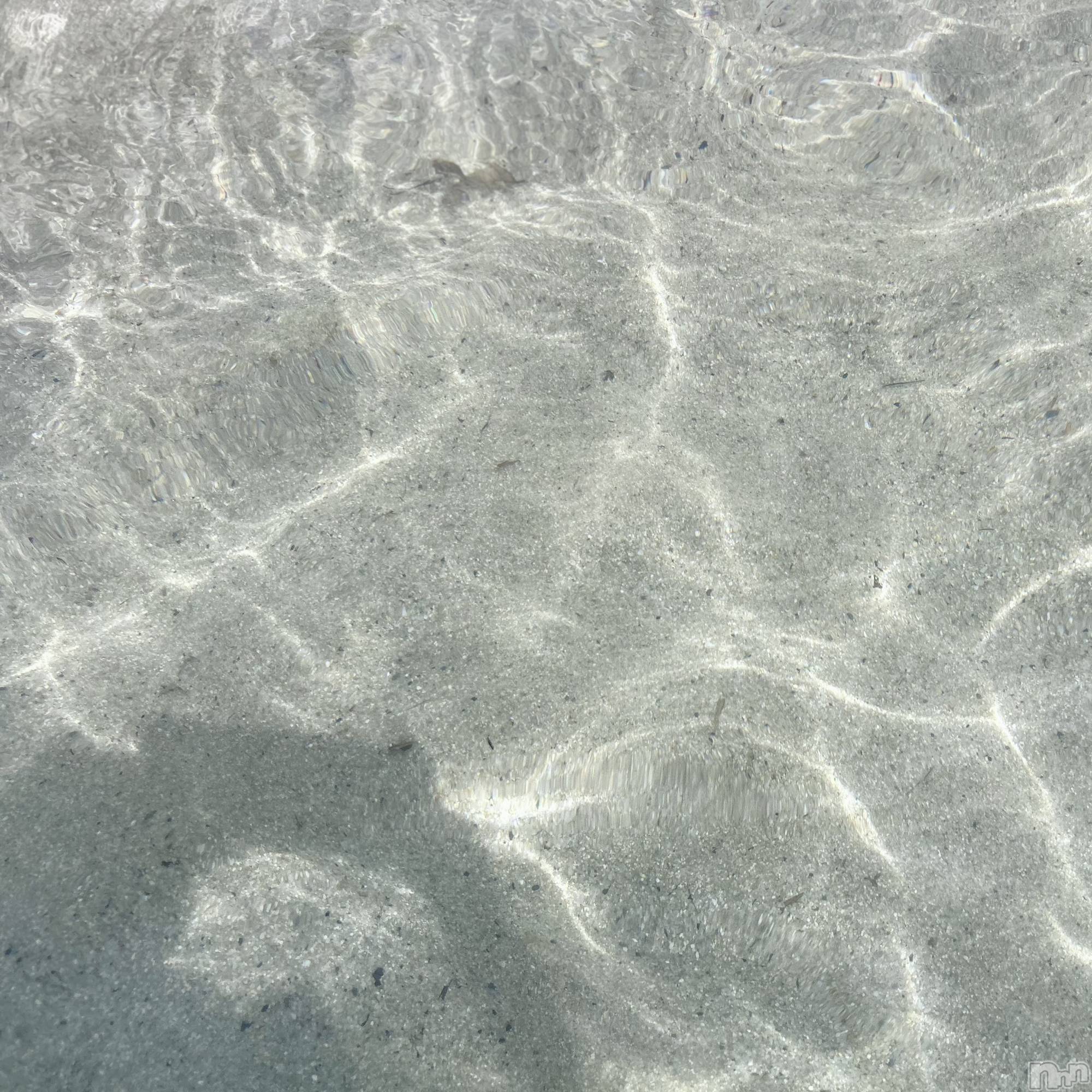 ��ˬ����Х��顦����֥���� �ץ���� ��ˬ(����� �ץ���� ����) ��2025ǯ7��23���̥�֥�����🌊��