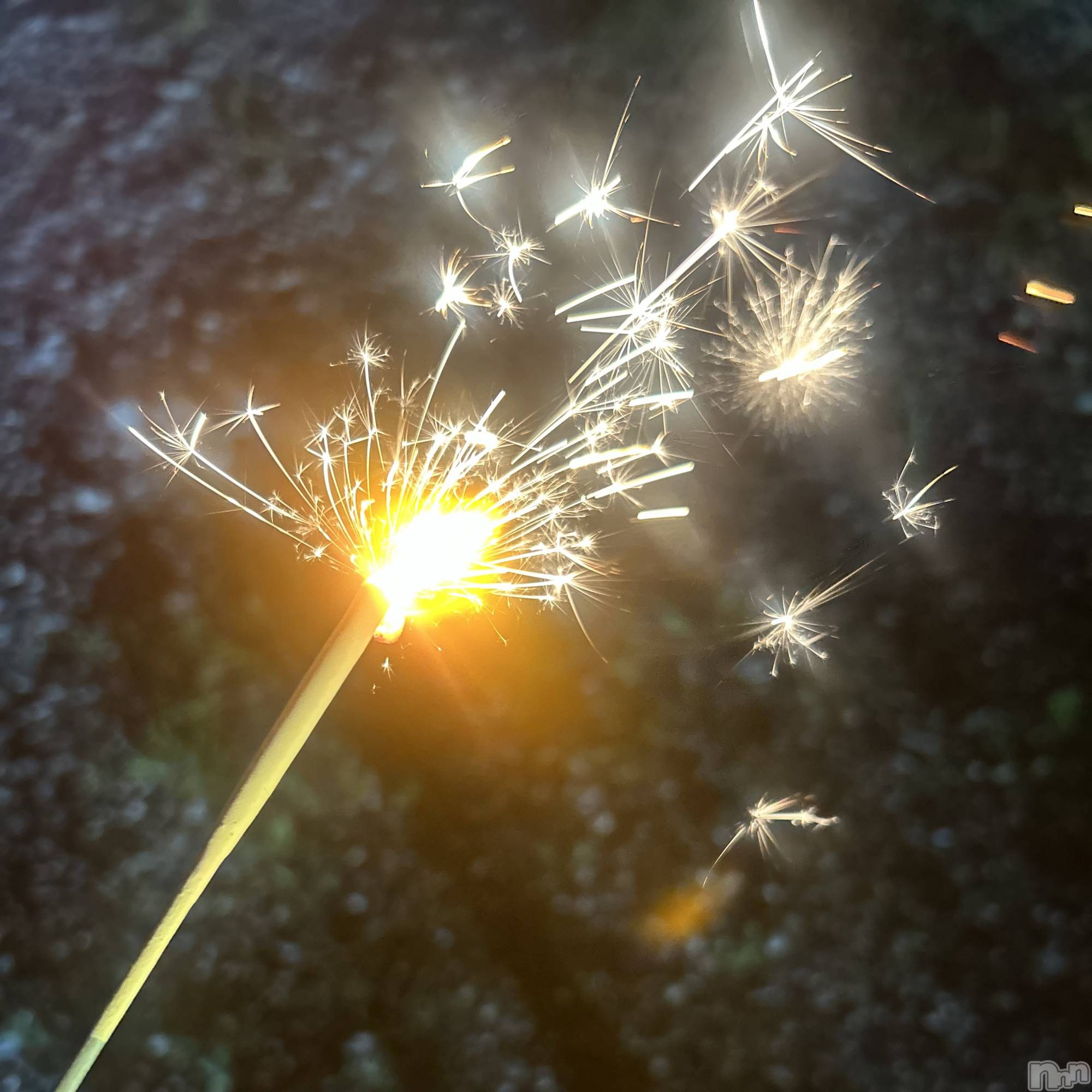 ��ˬ����Х��顦����֥���� �ץ���� ��ˬ(����� �ץ���� ����) ��2025ǯ8��13���̥�֥�����🎆��