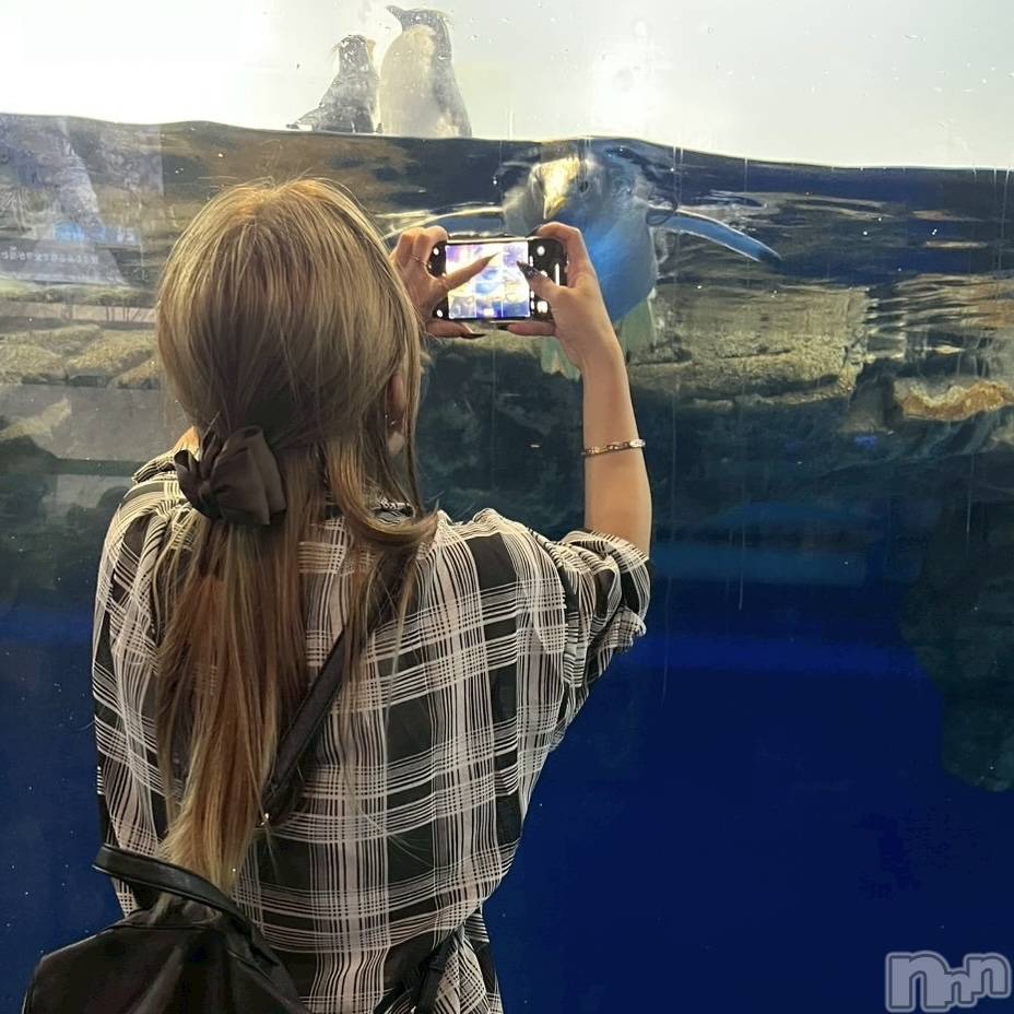 ��ˬ����Х��顦����֥���� �ץ���� ��ˬ(����� �ץ���� ����) ��2025ǯ10��4���̥�֥�����🐧��