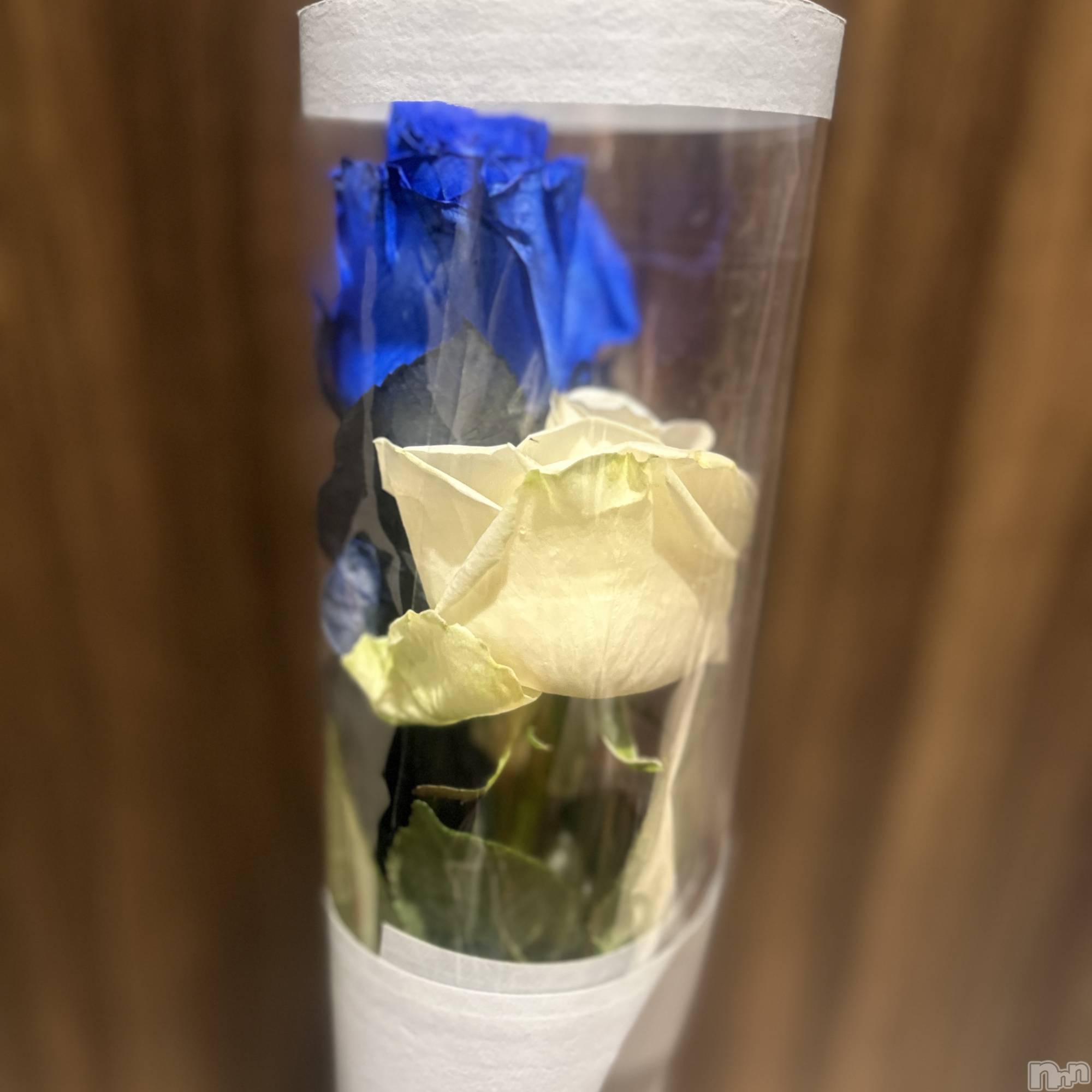 ��ˬ����Х��顦����֥���� �ץ���� ��ˬ(����� �ץ���� ����) ��2025ǯ12��23���̥�֥�����🌹��