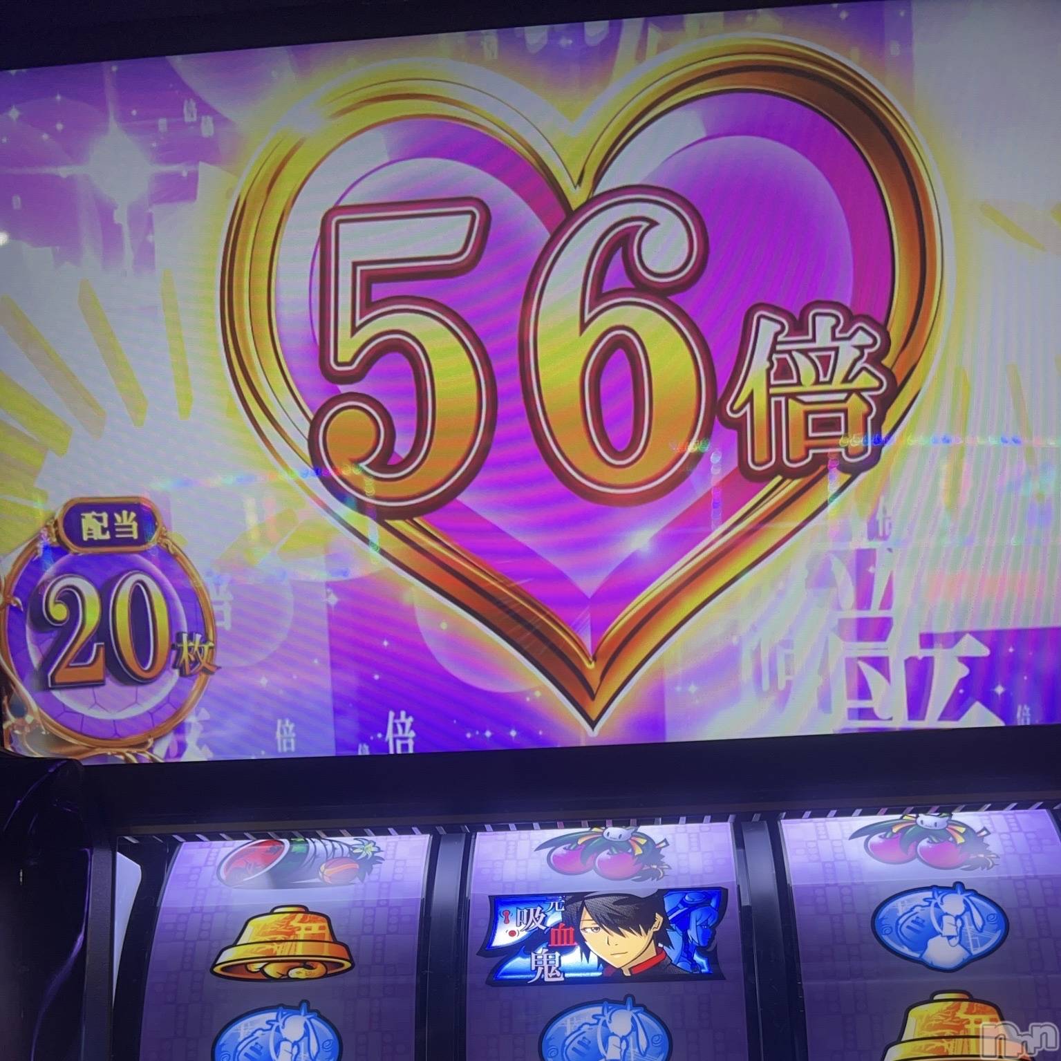 ��ˬ����Х��顦����֥���� �ץ���� ��ˬ(����� �ץ���� ����) ��2026ǯ1��17���̥�֥�����🎰��