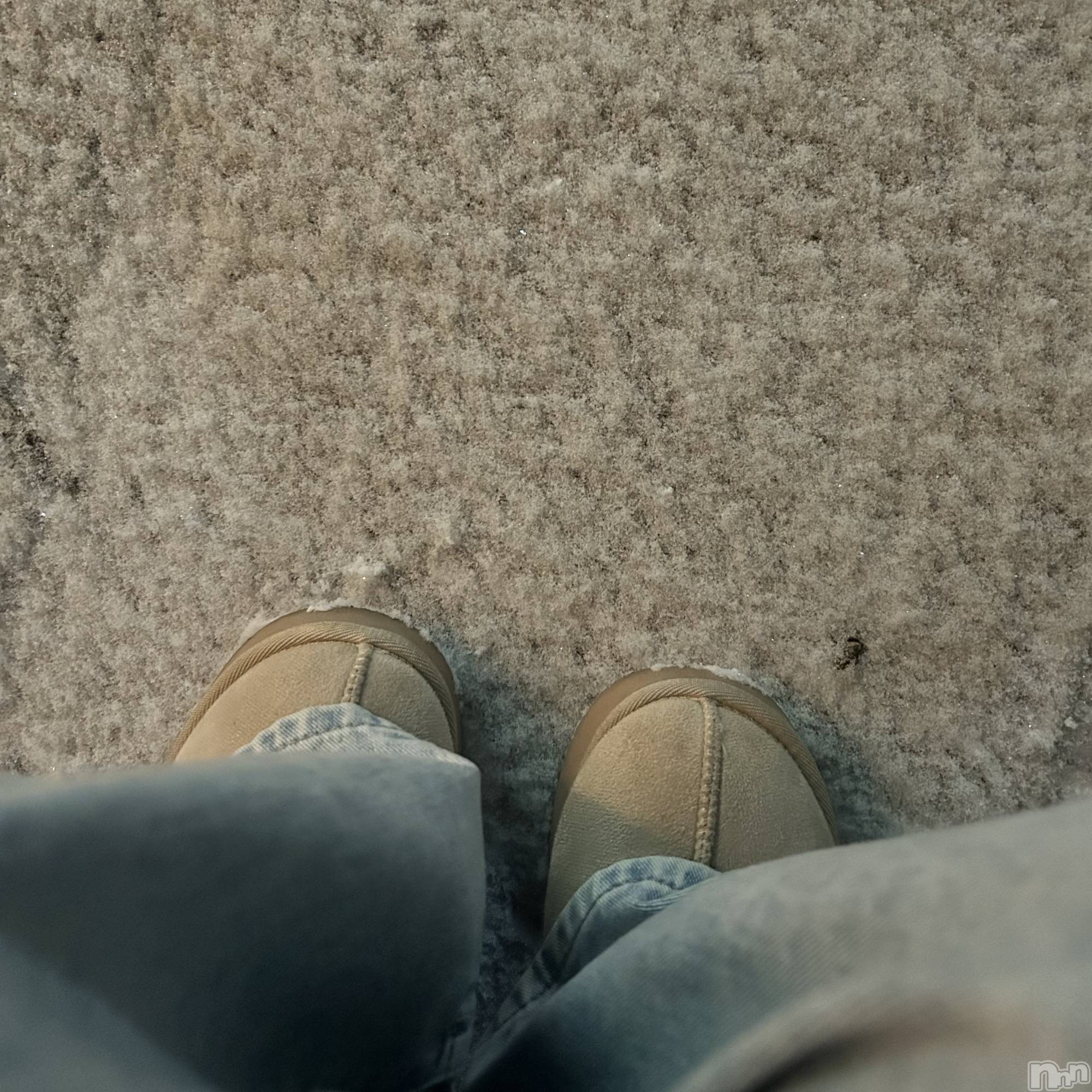 ��ˬ����Х��顦����֥���� �ץ���� ��ˬ(����� �ץ���� ����) ��2026ǯ1��26���̥�֥�����❄️��