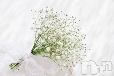 ��ˬ����Х��顦����֥���� �ץ���� ��ˬ(����� �ץ���� ����) ���� ��ʤ�5��17���̥�֥�����🪻��