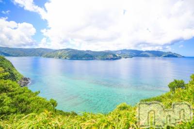 ��ˬ����Х��顦����֥���� �ץ���� ��ˬ(����� �ץ���� ����) ���� ��ʤ�6��5���̥�֥�����🏝️��