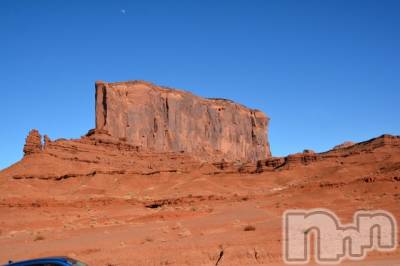 ��ˬ����Х��顦����֥���� �ץ���� ��ˬ(����� �ץ���� ����) ���� ��ʤ�6��7���̥�֥�����🐪��