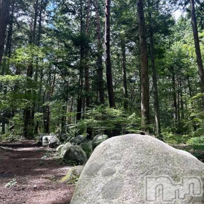 ��ˬ����Х��顦����֥���� �ץ���� ��ˬ(����� �ץ���� ����) ���� ��ʤ�8��22���̥�֥�����🌳��