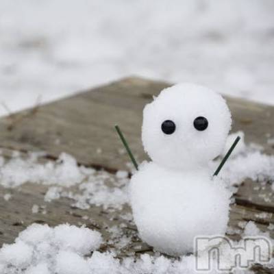 ��ˬ����Х��顦����֥���� �ץ���� ��ˬ(����� �ץ���� ����) ���� ��ʤ�1��3���̥�֥�����🎍��