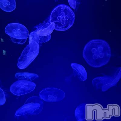 ��ˬ����Х��顦����֥���� �ץ���� ��ˬ(����� �ץ���� ����) ���� ��ʤ�3��17���̥�֥�����🪼��