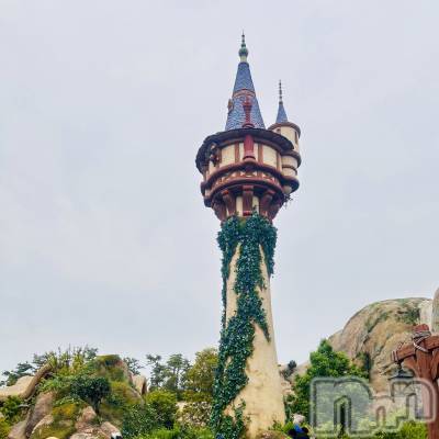 ��ˬ����Х��顦����֥���� �ץ���� ��ˬ(����� �ץ���� ����) ���� ��ʤ�6��3���̥�֥�����🌸��