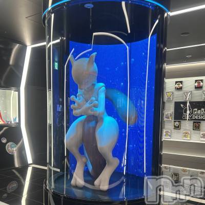 ��ˬ����Х��顦����֥���� �ץ���� ��ˬ(����� �ץ���� ����) ���� ��ʤ�9��3���̥�֥�����🏙️��