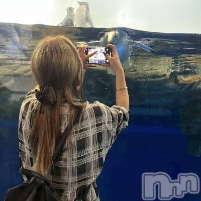 ��ˬ����Х��顦����֥���� �ץ���� ��ˬ(����� �ץ���� ����) ���� ��ʤ�10��4���̥�֥�����🐧��