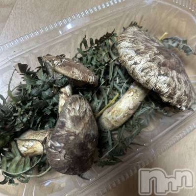 ��ˬ����Х��顦����֥���� �ץ���� ��ˬ(����� �ץ���� ����) ���� ��ʤ�10��27���̥�֥�����🍄‍🟫��