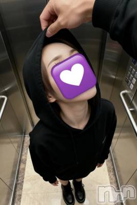 ��ˬ����Х��顦����֥���� �ץ���� ��ˬ(����� �ץ���� ����) ���� ��ʤ�1��19���̥�֥�����🤖��