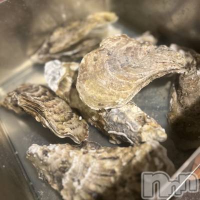 ��ˬ����Х��顦����֥���� �ץ���� ��ˬ(����� �ץ���� ����) ���� ��ʤ�3��4���̥�֥�����🦪��