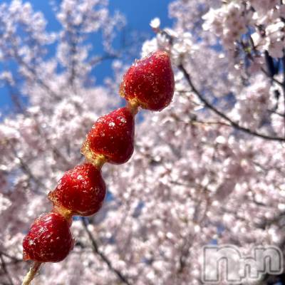 ��ˬ����Х��顦����֥���� �ץ���� ��ˬ(����� �ץ���� ����) ���� ��ʤ�4��11���̥�֥�����🍓��